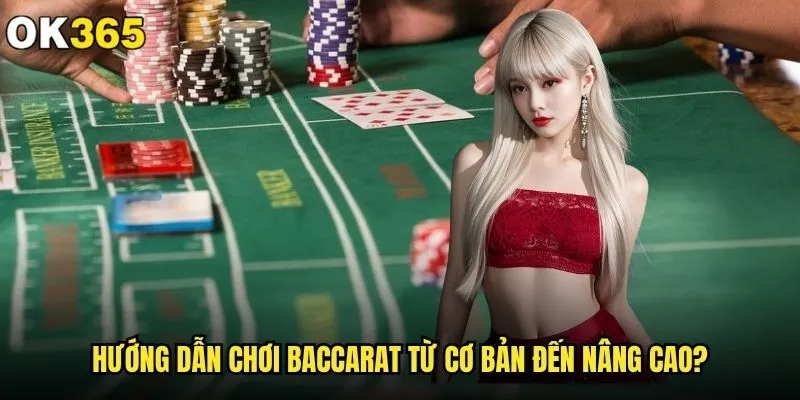 Chơi Baccarat có thực sự dễ thắng tiền tại ok365? 1 Hướng dẫn chơi Baccarat từ cơ bản đến nâng cao
