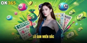 Lô gan miền Bắc