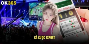 Cá cược Esport