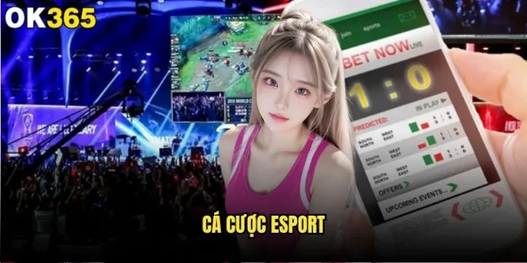 Cá cược Esport có phải xu hướng mới tại ok365? 1 Cá cược Esport