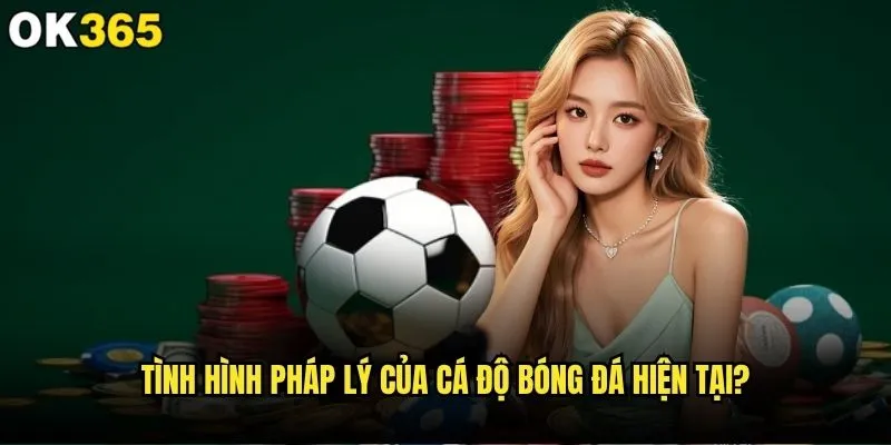 Cá độ bóng đá hợp pháp ở đâu và ok365 có an toàn không? 1 Tình hình pháp lý của cá độ bóng đá hiện tại?