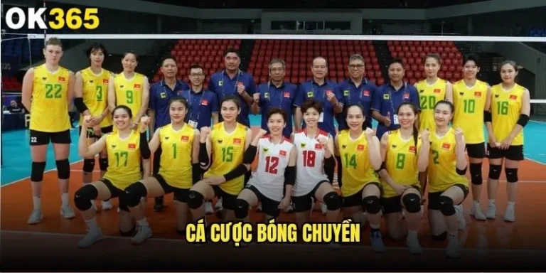 Cá cược bóng chuyền